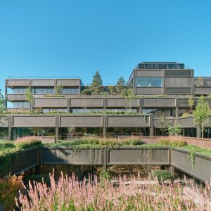 Studio Knight Stokoe Twelve Architects PLANT Photographer Andy Stagg 2
