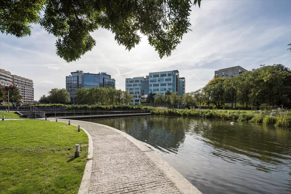 69297b0d 03cf 4852 bb3d 0f27c74e623d 0