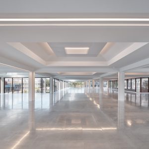 Studio Knight Stokoe Twelve Architects PLANT Photographer Andy Stagg 10