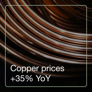 Circle Development Article Copper